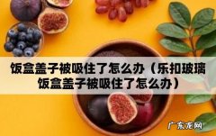 饭盒打不开被吸住了怎么办,饭盒盖子吸住了怎么打开