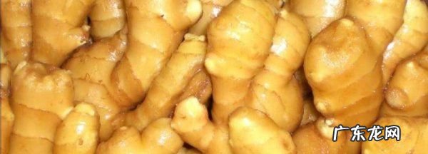 姜生芽后能吃,姜生芽还能吃不