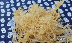 海石花是什么东西,海石花有什么作用和疗效