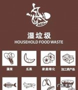 湿垃圾是什么颜色,湿垃圾是容器标识颜色为黑色是对还是错