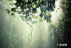 雨的雅称有哪些,雨的67个雅称四字