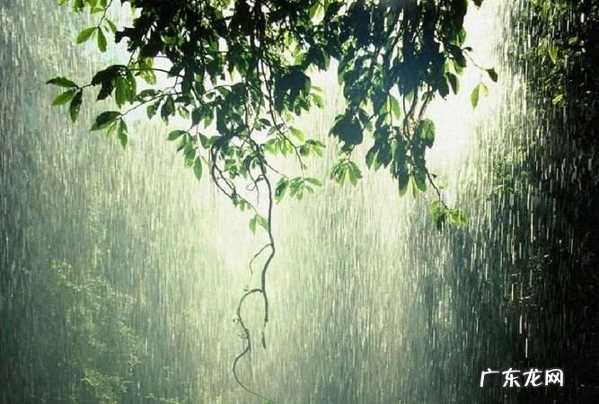 雨的雅称有哪些,雨的67个雅称四字