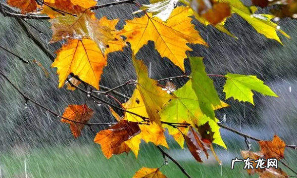 雨的雅称有哪些,雨的67个雅称四字