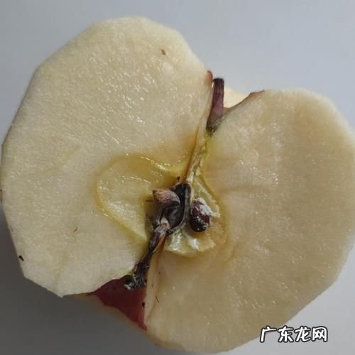 苹果芯子发黑可以吃,苹果里面黑了可以吃