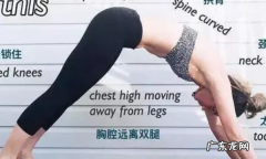 下犬式主要是哪里发力,下犬式的正确动作要领 步骤
