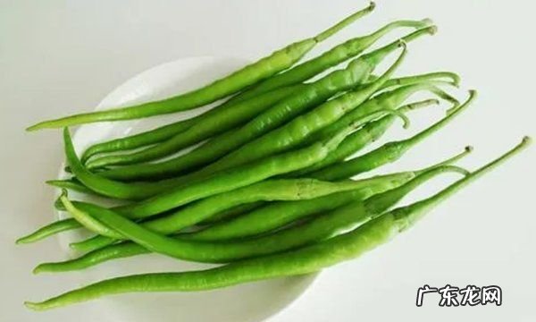 长尖椒怎么保存,尖椒的储存方法