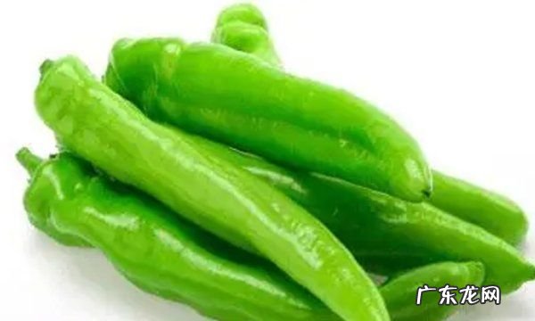 长尖椒怎么保存,尖椒的储存方法