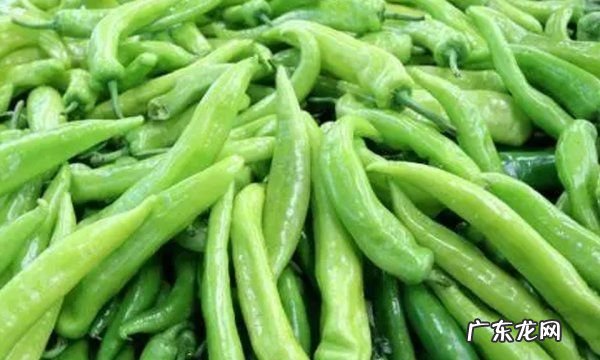 长尖椒怎么保存,尖椒的储存方法