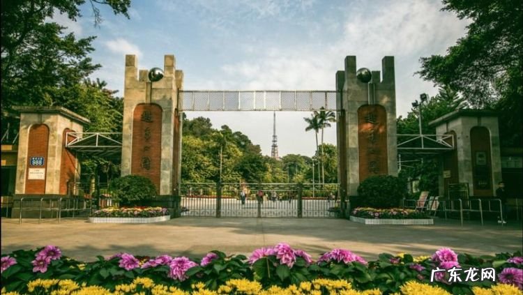 越秀公园有什么好玩的,广州越秀区免费旅游景点