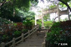 越秀公园有什么好玩的,广州越秀区免费旅游景点