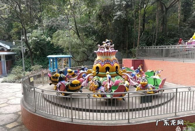 越秀公园有什么好玩的,广州越秀区免费旅游景点