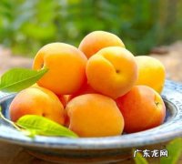 杏会不会长肉,杏吃多了会胖