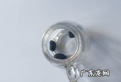 桑葚怎么洗干净泡酒,桑葚怎样泡酒最好