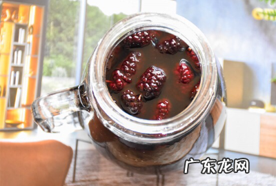 桑葚怎么洗干净泡酒,桑葚怎样泡酒最好