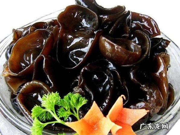 木耳热水泡5分钟可以吃,干木耳泡5分钟能吃