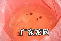 淹鹅蛋需要多长时间,咸蛋要腌多少天可以吃