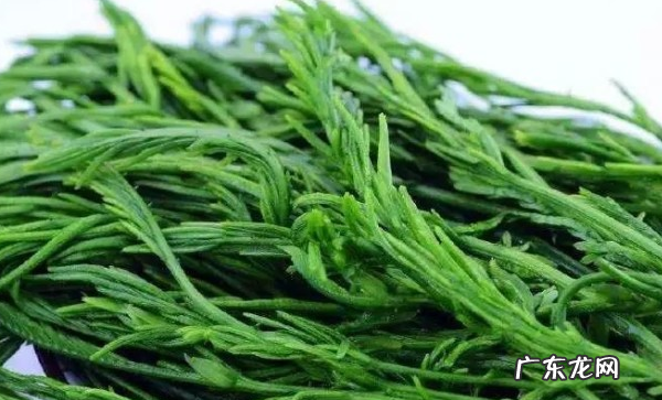 农村臭菜是什么菜,臭菜学名叫什么菜
