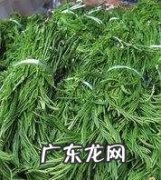 农村臭菜是什么菜,臭菜学名叫什么菜