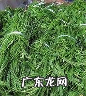 农村臭菜是什么菜,臭菜学名叫什么菜