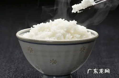 夏天钓鲫鱼用哪些饵料配方,夏季钓鲫鱼的饵料配方