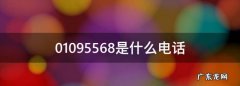 0095568是什么银行,00959688是哪里的电话