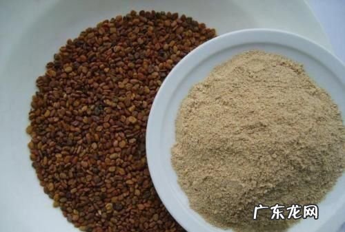 毛香草作用与功效,蒲公英和香茅草可以一起喝