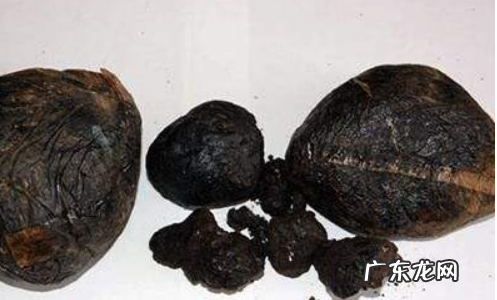 大烟散发出什么味道,火锅放罂粟能吃出来