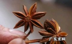 三红汤的禁忌,贫血要多吃一些什么食物