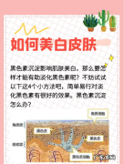 如何把皮肤拍白,如何让皮肤变白