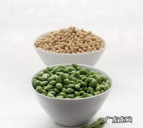 碗豆子怎么保存,碗豆子怎么保存不会坏