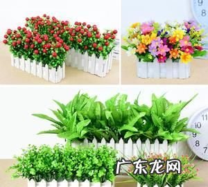 用来装饰的假花属于什么垃圾分类,桌布属于什么垃圾分类类别
