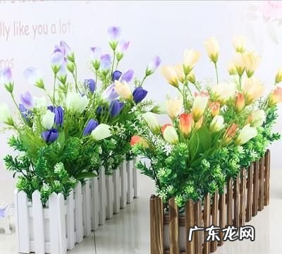 用来装饰的假花属于什么垃圾分类,桌布属于什么垃圾分类类别