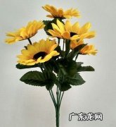 用来装饰的假花属于什么垃圾分类,桌布属于什么垃圾分类类别