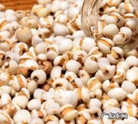 怎么样去除薏米的怪味,怎么样去除薏米中的油味儿