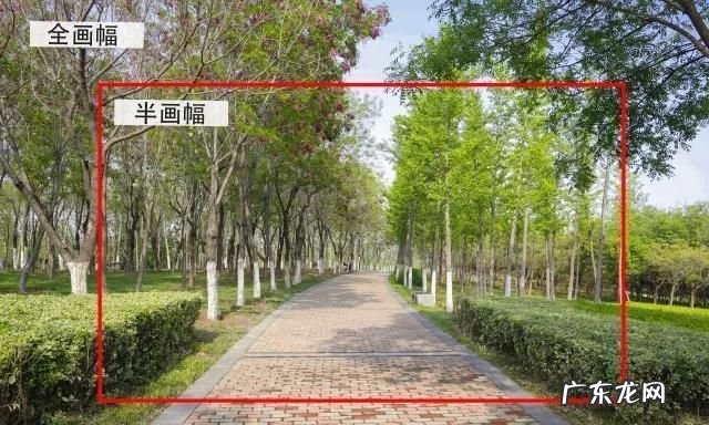 什么是cx画幅,单反相机的单反是什么意思