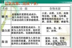 营养素对运动的作用有哪些,营养素对运动的作用有