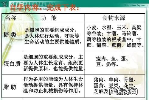 营养素对运动的作用有哪些,营养素对运动的作用有