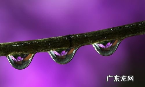 怎么拍水滴倒影,手机怎么拍雨滴落下的照片