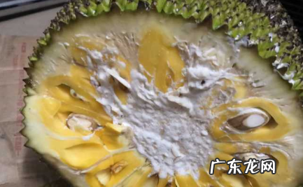 菠萝蜜的汁液怎么洗掉,菠萝蜜的胶用什么洗才能洗掉