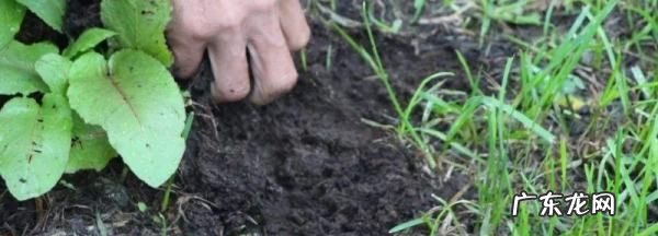 土壤分类有哪几类,土壤有哪些分类