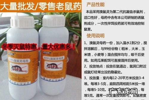 自制老鼠药配方洗洁精原理,老鼠药的制作方法