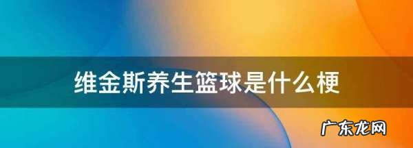 维金斯保温杯枸杞什么意思,维金斯养生篮球是什么梗