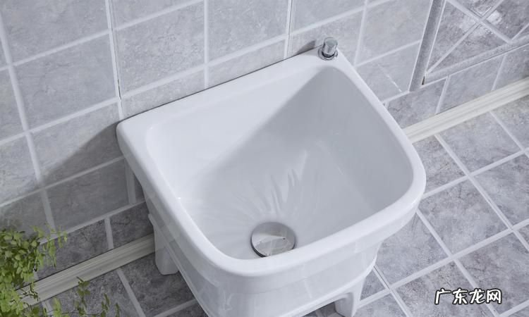 洗拖把的池子叫什么,绘制下图卫生间所对应的给水、排水平面管道布置图
