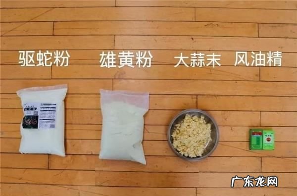 在家里看到蛇怎么办,在家里看到蛇怎么办