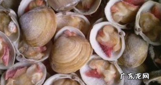 鸟贝是什么海鲜,鸟贝是鸡腿螺