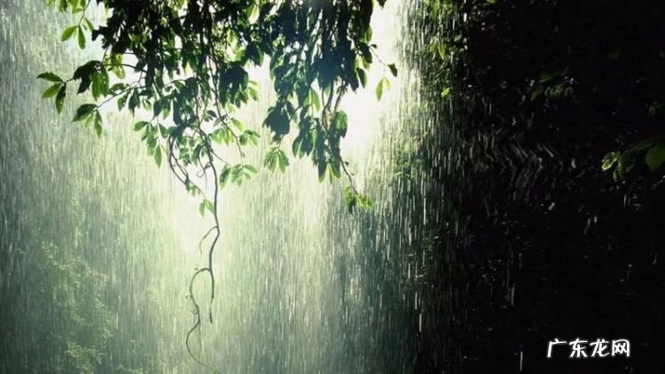 下雨天什么雨水向上流,下雨天什么情况下水往上流脑筋转弯