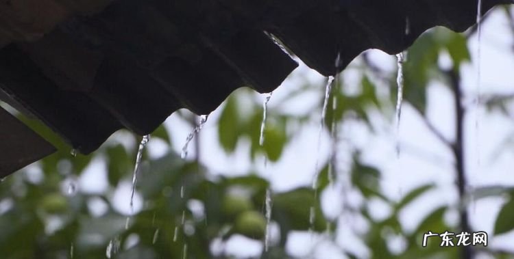 下雨天什么雨水向上流,下雨天什么情况下水往上流脑筋转弯