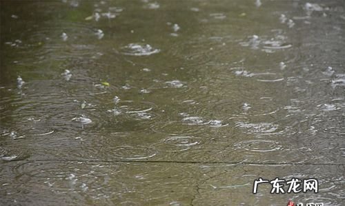 下雨天什么雨水向上流,下雨天什么情况下水往上流脑筋转弯