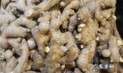 种老姜怎么放底肥,种姜用什么底肥料好