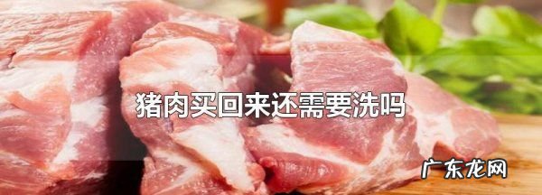 买回来的肉要洗,买回来的肉要洗了放冰箱